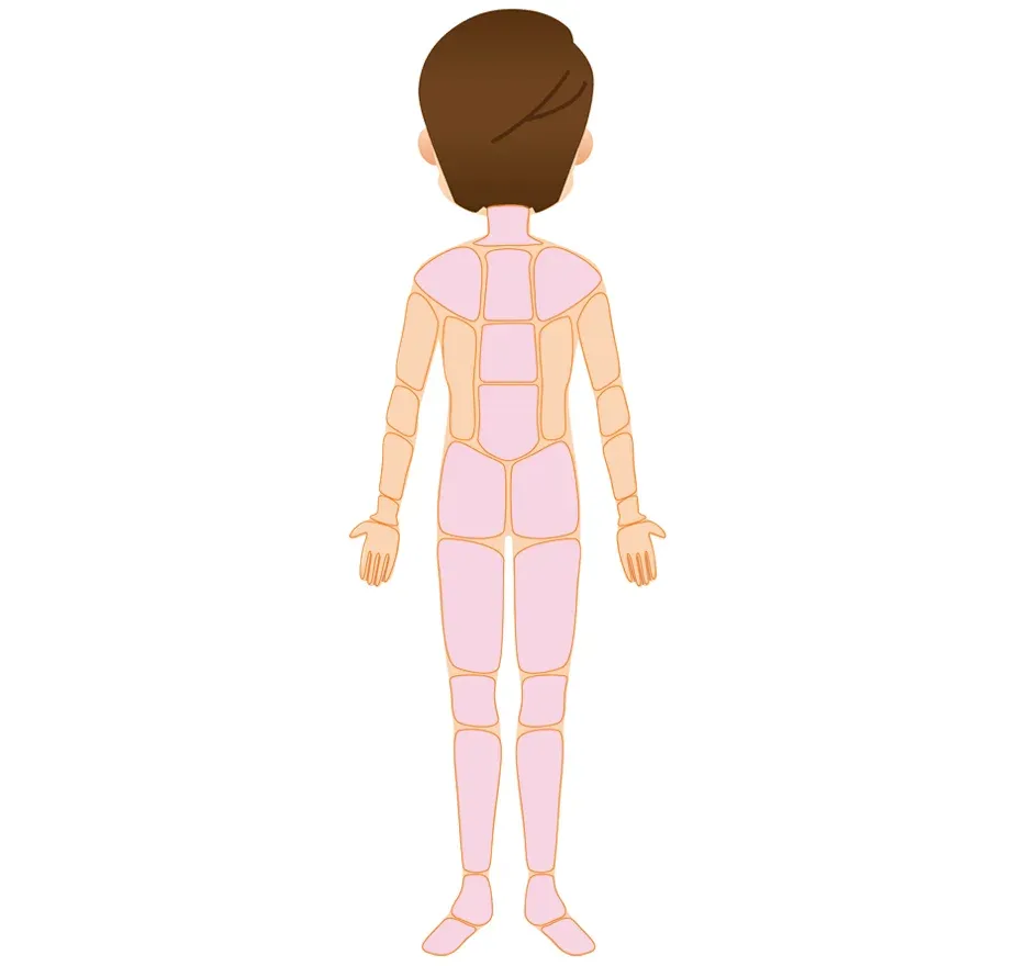 体の運動連鎖を整え、膝に負担がかからない動きを取り戻す鍼治療Bの治療範囲