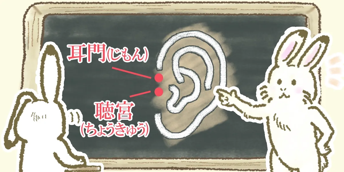 突発性難聴に効果的なツボの位置をイラストでご紹介