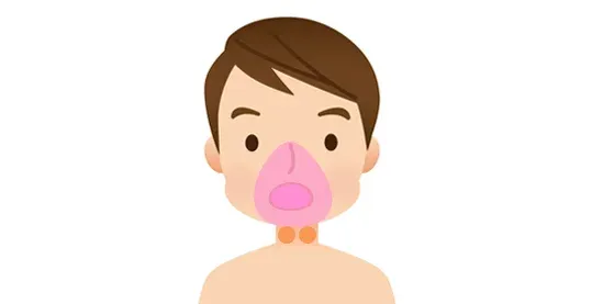 Ａ.口腔・鼻粘膜の再生力を高める鍼治療の範囲