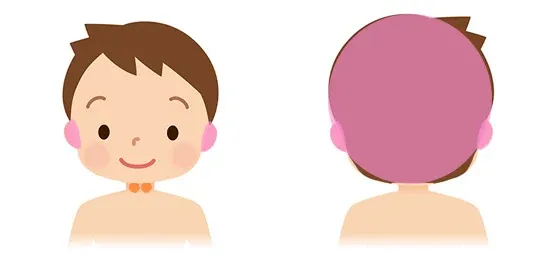 Ａ.耳の再生力を高める鍼治療の範囲