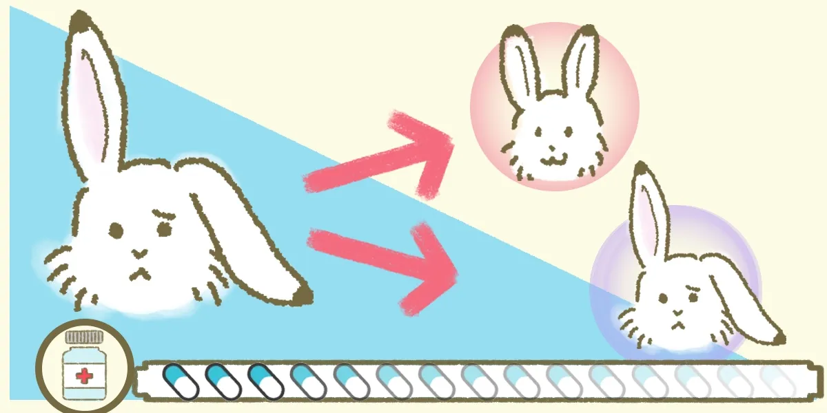 ステロイドの効果が現れる時期をイラスト化