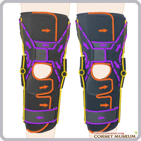 エクスエイドニーPCL