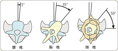 思ったよりねじれない腰椎