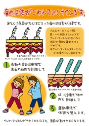 長野県長野市　森上鍼灸整骨院　痔核硬化療法後遺症を治す鍼治療　痛みは体が壊れていくサイン