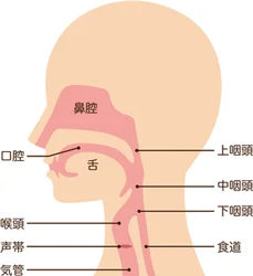 認知症の鍼治療