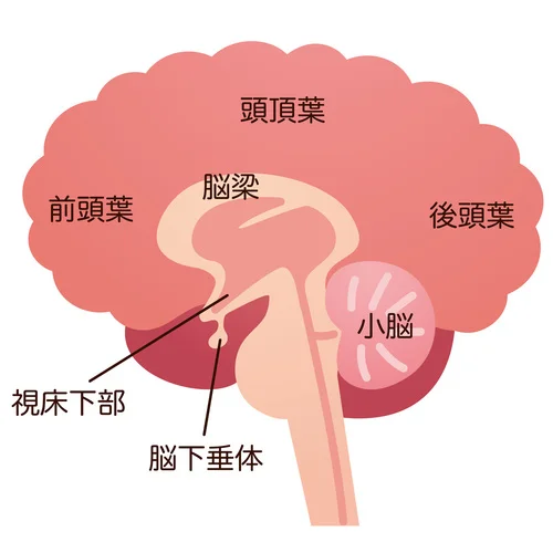 自己免疫疾患