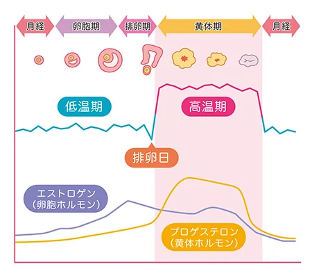 逆子の鍼治療