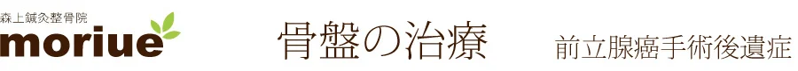 長野県長野市 森上鍼灸整骨院 前立腺癌手術後遺症を治す鍼治療