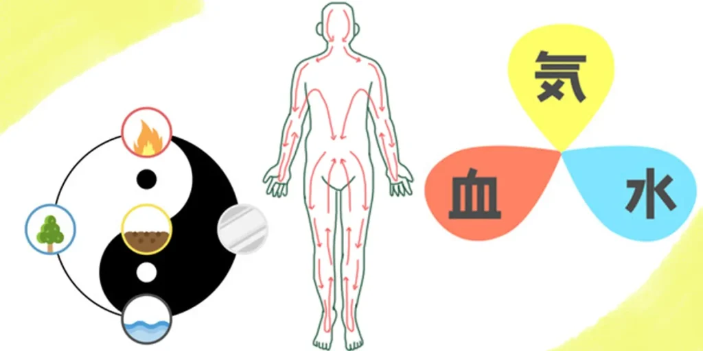 鍼灸治療の基本概念
