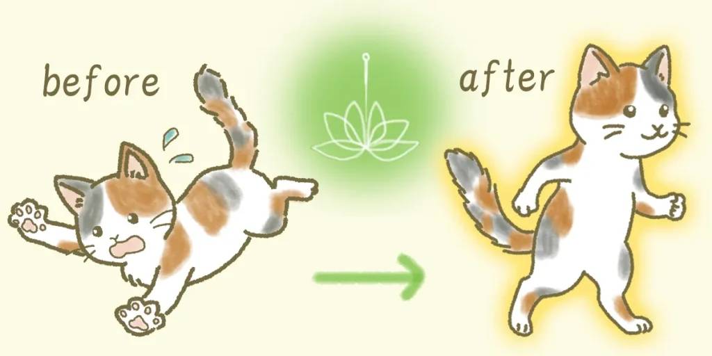 鍼治療とオリジナルの運動療法で機能回復が高まる