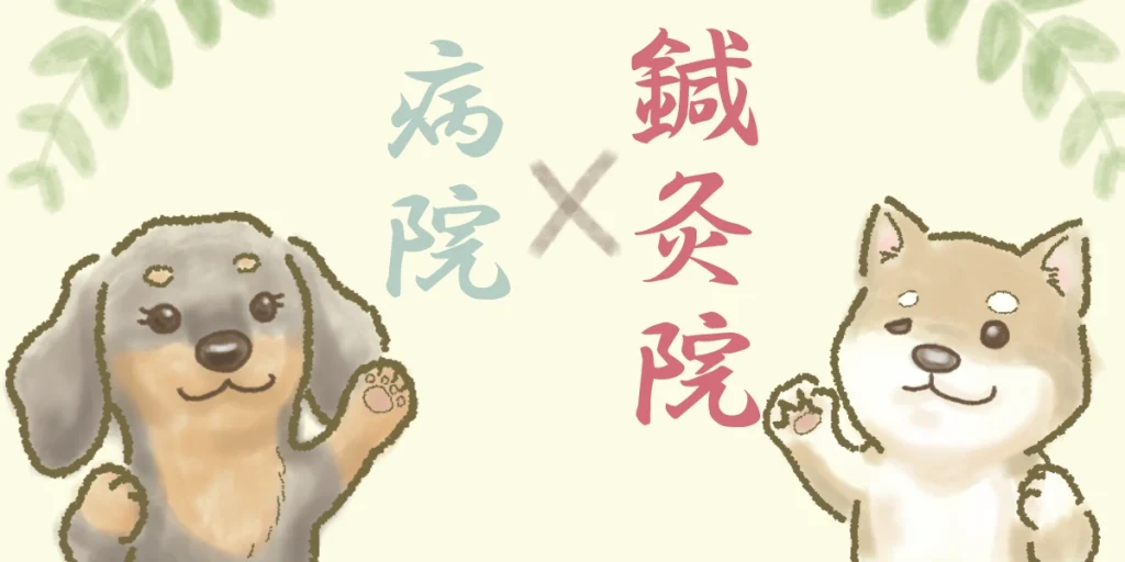 顔面神経麻痺の治療｜病院×鍼灸院の併用がベスト