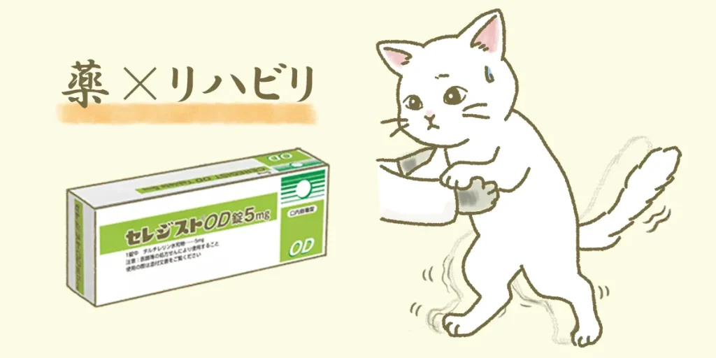 脊髄小脳変性症の標準治療(セレジストとリハビリ)