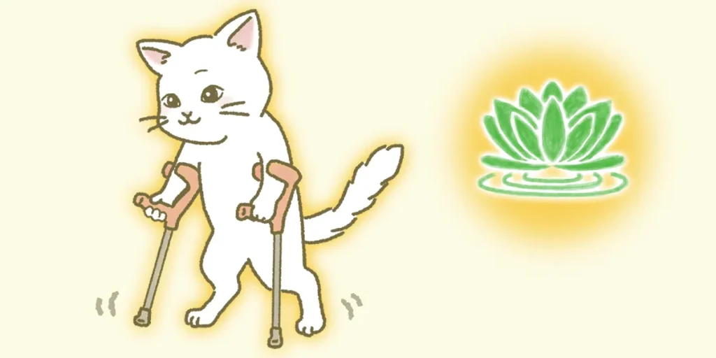 脊髄小脳変性症はゆっくりと進行するため継続的な体のメンテナンスが必要