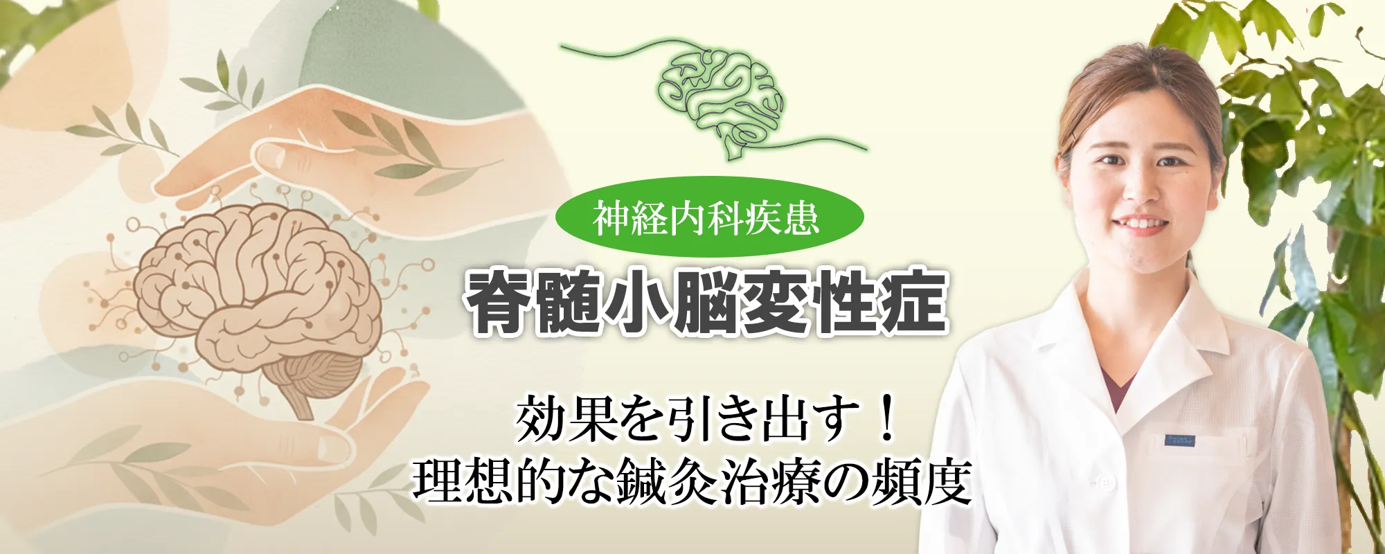 脊髄小脳変性症で鍼灸治療を受けるなら｜治療頻度と継続期間の目安について分かりやすく解説します。