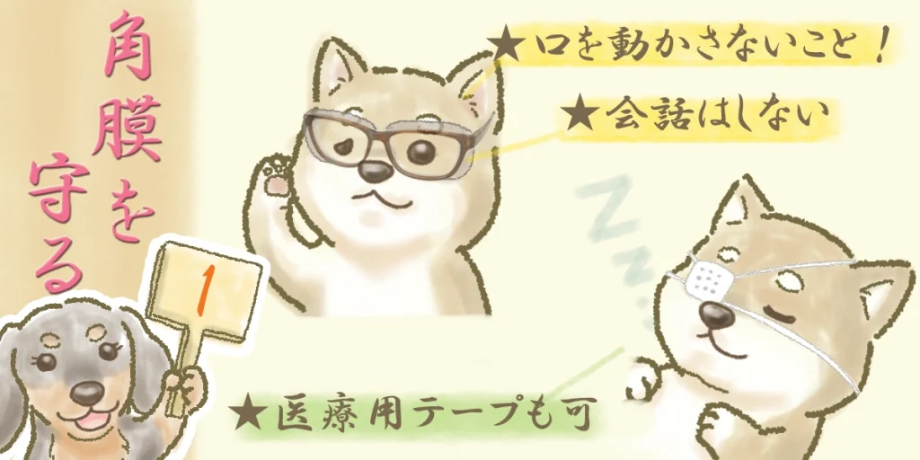 顔面神経麻痺の過ごし方｜最優先すべきは「目の保護」です。