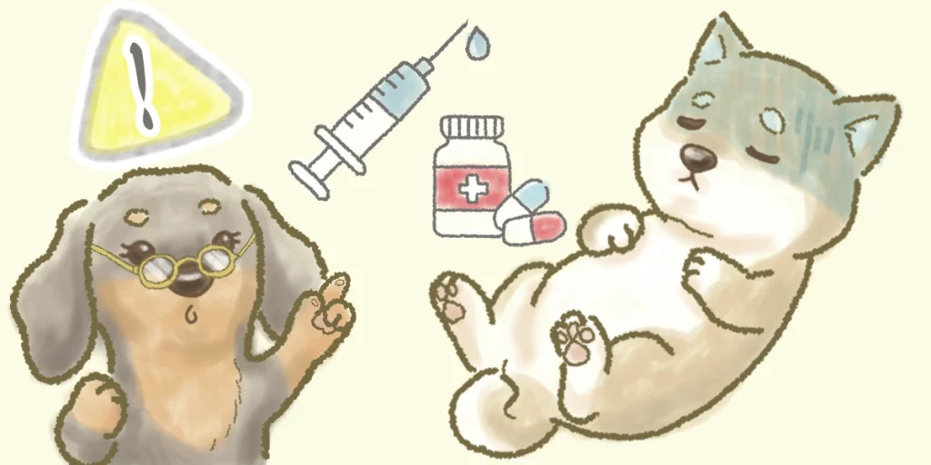 ステロイドにより免疫力が下がったままの図