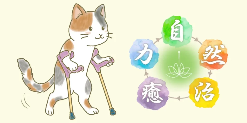 脊髄小脳変性症の鍼治療直後にリハビリを行うと歩行や構音の改善に効果的