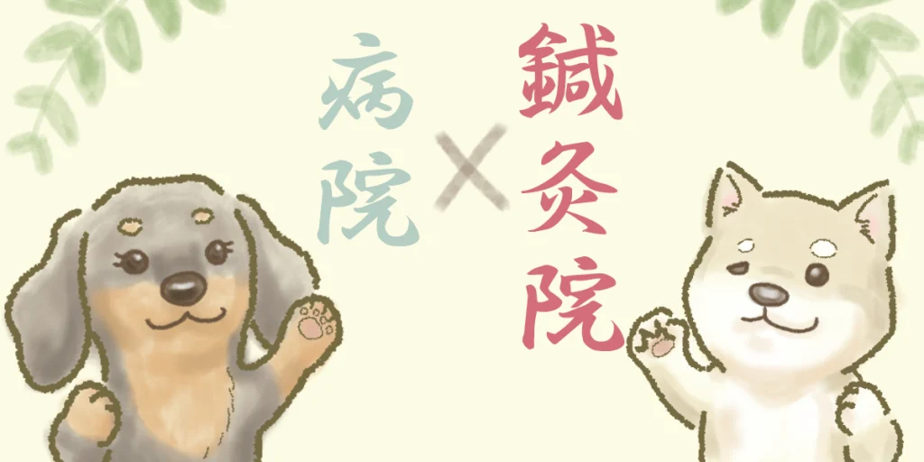 病院と併用して鍼灸院での治療をすることを提案するイラスト